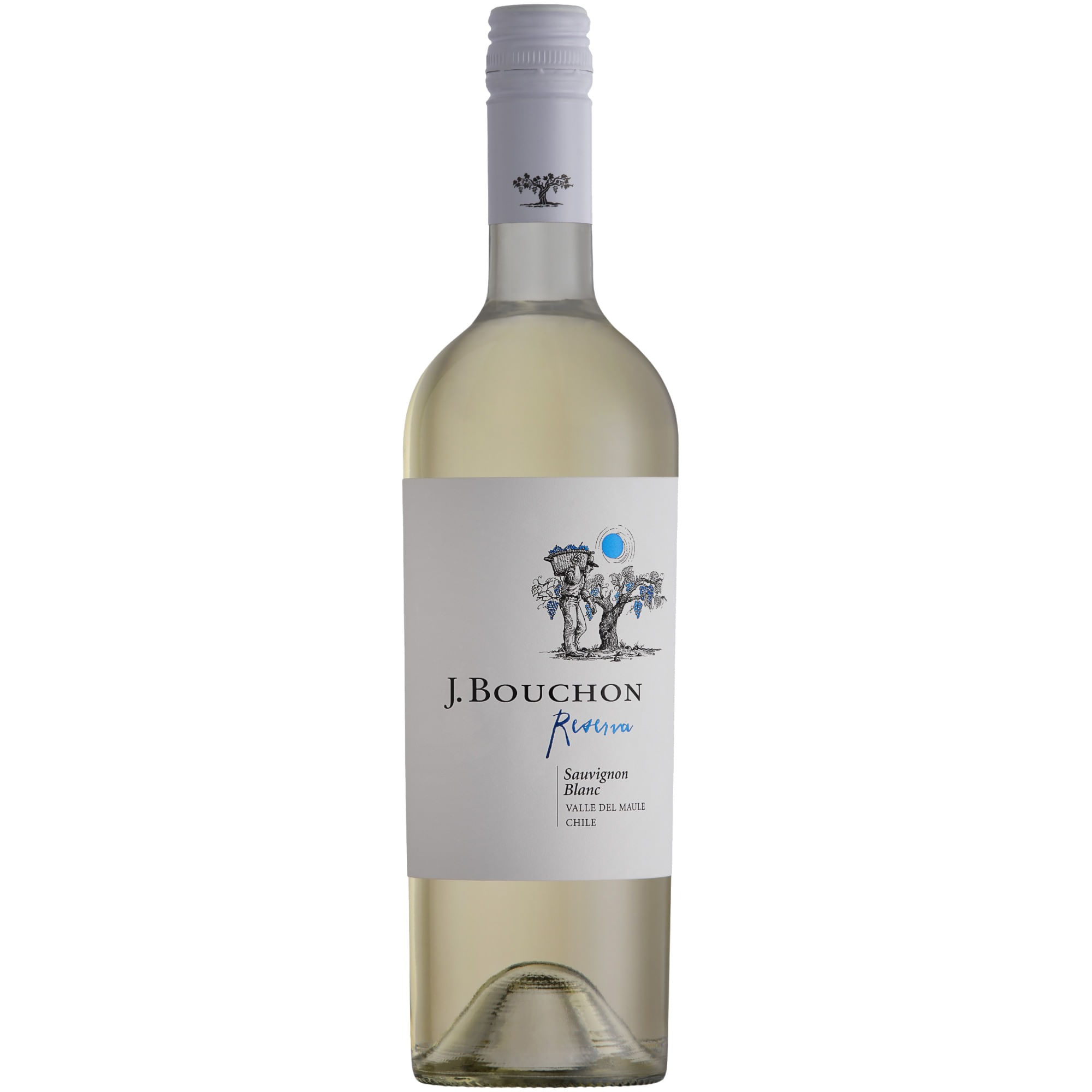 Совиньон блан чили. Вино бушон Чили. Sauvignon Blanc j Bouchon Chile. Вино бушон Шардоне резерва. Вино х. бушон Шардоне резерва.