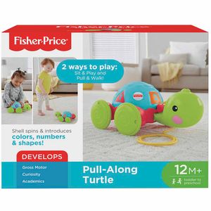 Tortuga de Aprendizaje FISHER PRICE