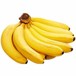 Platano de Seda