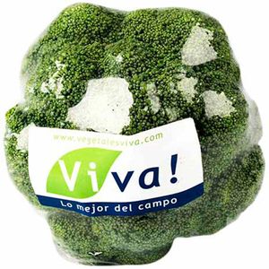 Brócoli de Verano VIVA x un