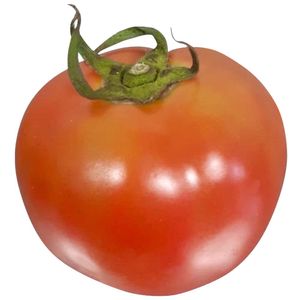 Tomate Redondo