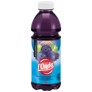 Bebida L'ONDA Blueberry Botella 500ml