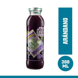 Bebida Natural BIO Arándano con Uva y Manzana Botella 300ml